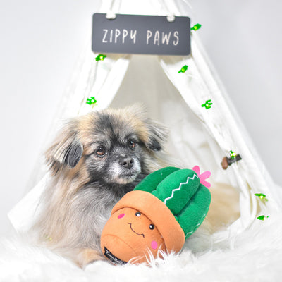 ZippyPaws Carmen the Cactus