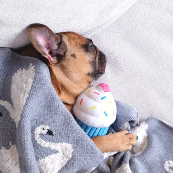 ZippyPaws Cupcake Blue