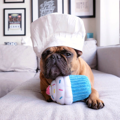 ZippyPaws Cupcake Blue