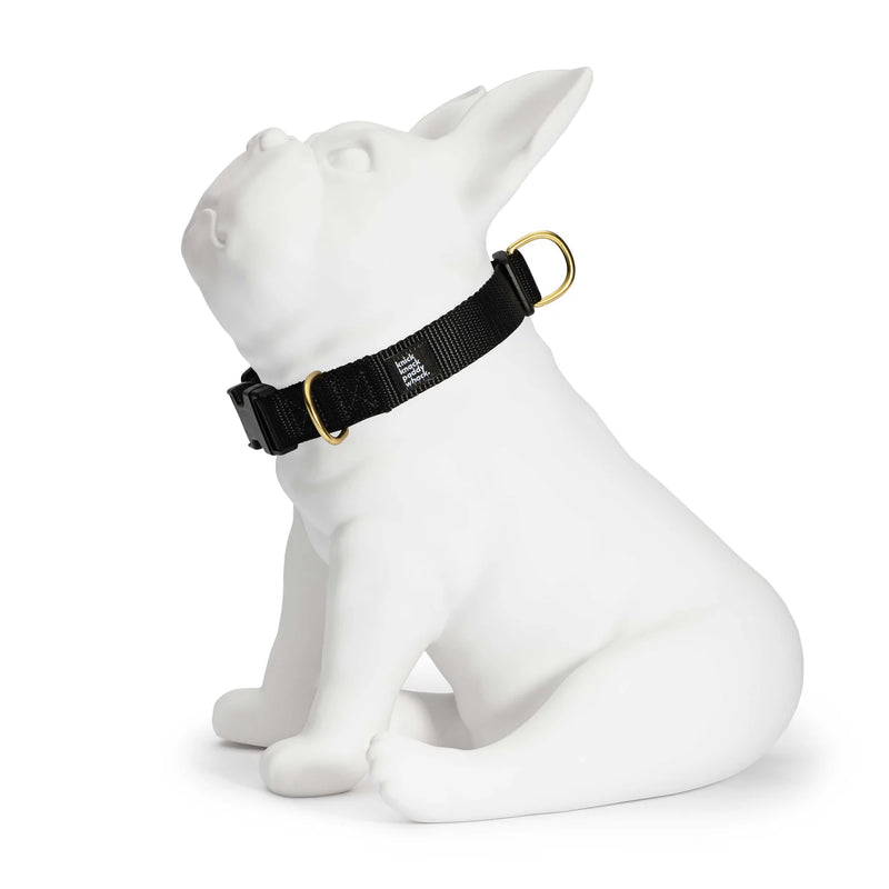 Black Buckle Collar