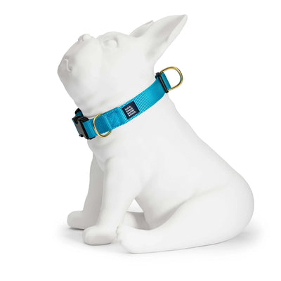 Blue Buckle Collar