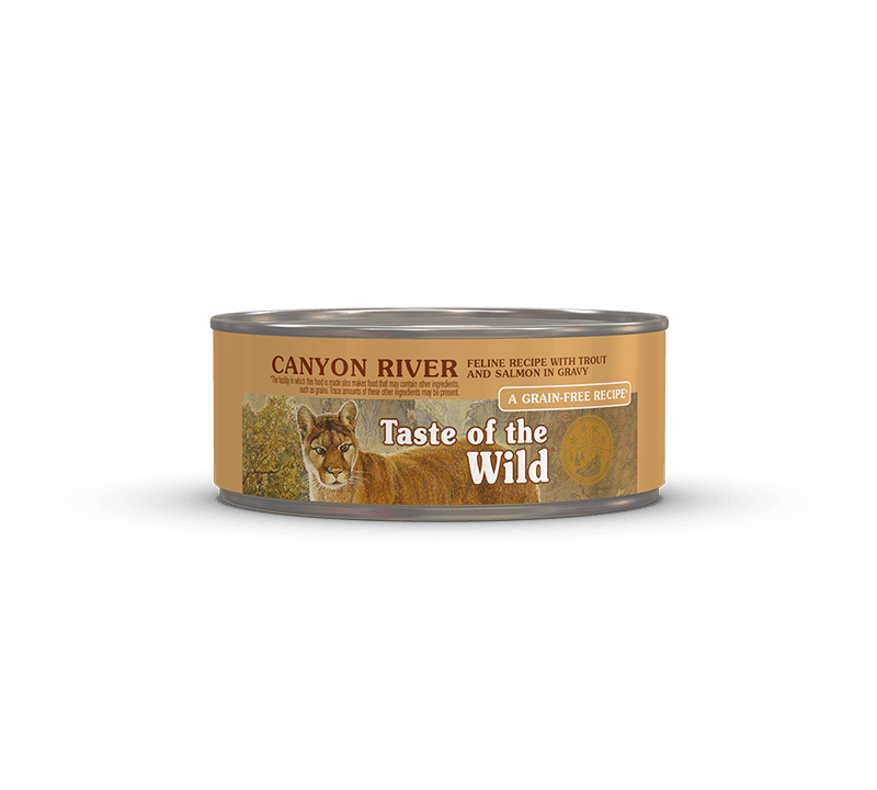Taste of the Wild Canyon River Feline Recipe with Trout and Salmon in Gravy Wet Cat Food