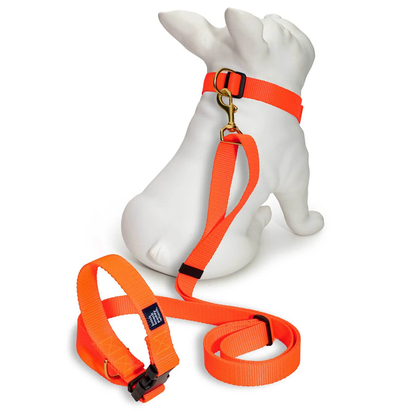 Hands Free Adjustable Leash - Neon Orange