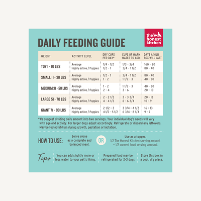 Honest Kitchen Grain Free Turkey Dog Food