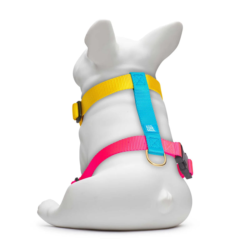 Jubilee Harness