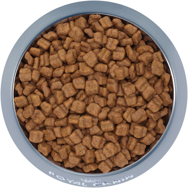 Royal Canin Boxer Puppy Dog Food