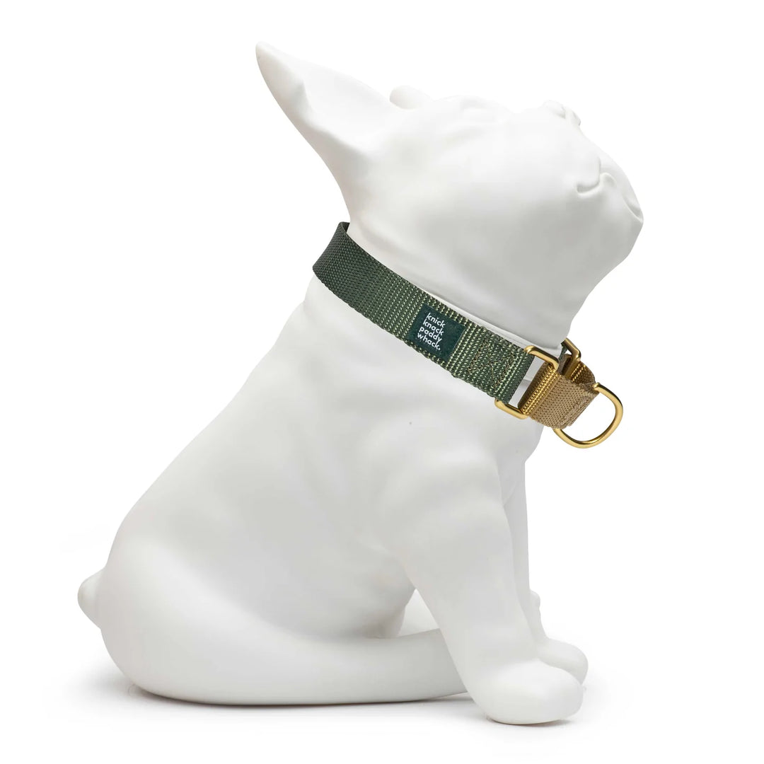 Olive & Gold Martingale Collar