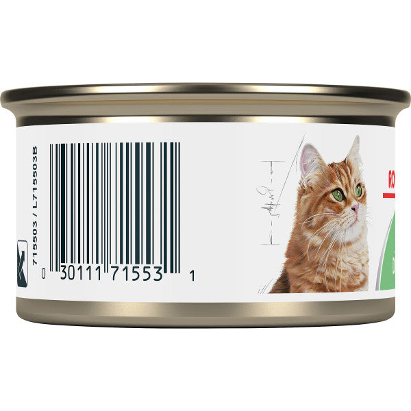 Royal Canin Feline Care Nutrition Digestive Sensitive Thin Slices in Gravy Wet Cat Food