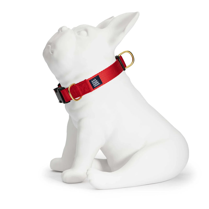 Red Buckle Collar
