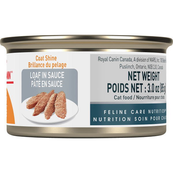 Royal Canin Feline Care Nutrition Intense Beauty Loaf in Sauce Wet Cat Food