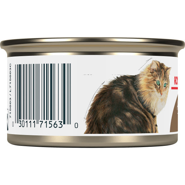 Royal Canin Feline Health Nutrition Aging 12+ Thin Slices in Gravy Wet Cat Food