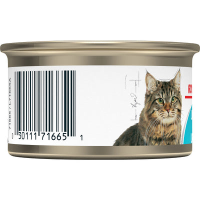 Royal Canin Feline Care Nutrition Urinary Care Wet Cat Food